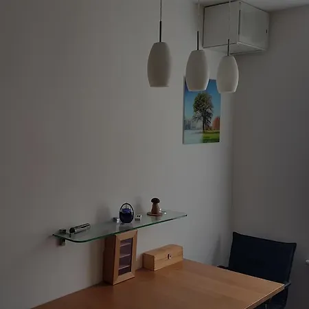 Modern Studio With Great View Брашов