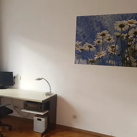 Modern Studio With Great View Брашов